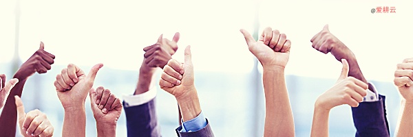 哪个教务管理系统的功能比较好?